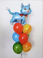 Гелиевые шары с котиком. Новосибирск