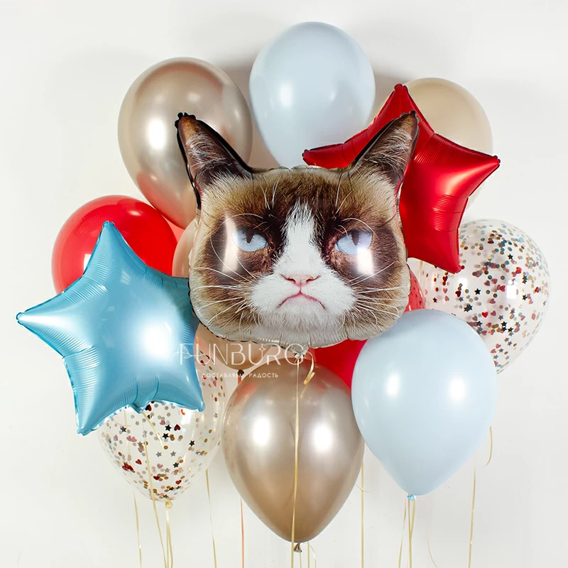 nabor_sharov_grumpy_cat